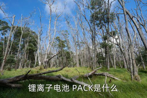 電池pack是什么意思，電池PACK的定義