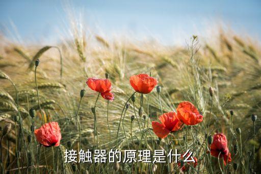 接觸器工作原理，交流接觸器的工作原理是什么