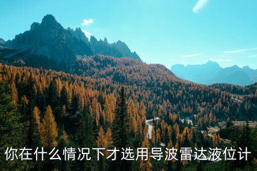 你在什么情況下才選用導(dǎo)波雷達(dá)液位計(jì)