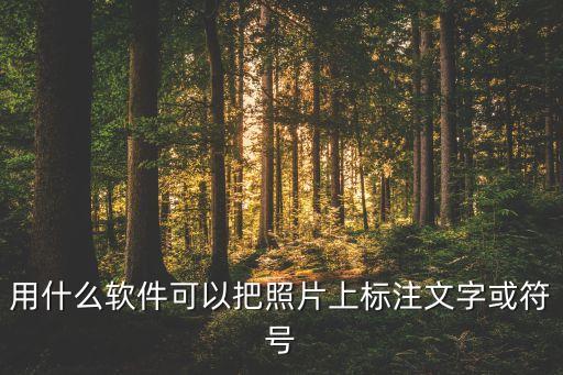 用什么軟件可以把照片上標(biāo)注文字或符號