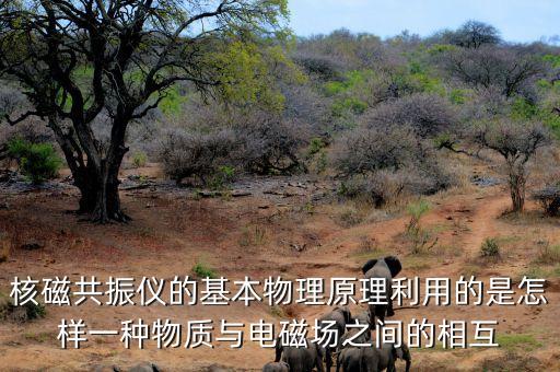 核磁共振原理，MRI的工作原理