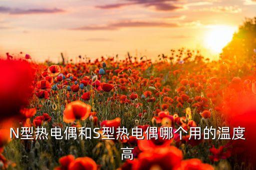N型熱電偶和S型熱電偶哪個(gè)用的溫度高