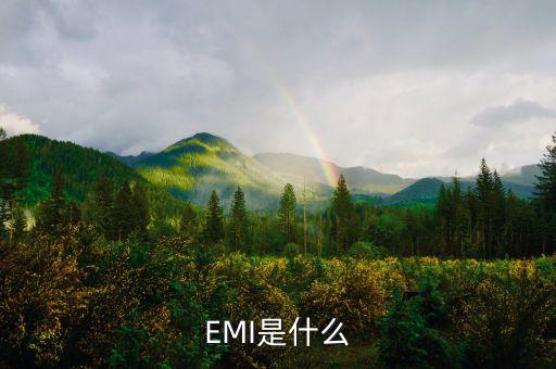 emi，EMI是什么