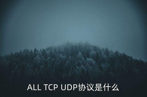 ALL TCP UDP協(xié)議是什么