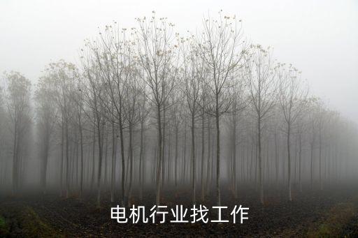電機(jī)行業(yè)找工作