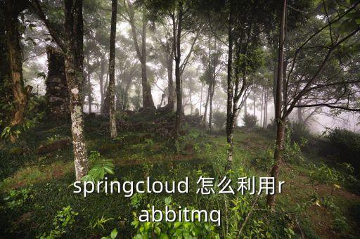 springcloud 怎么利用rabbitmq