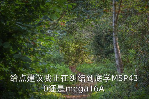 給點(diǎn)建議我正在糾結(jié)到底學(xué)MSP430還是mega16A
