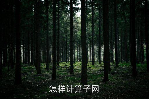 怎樣計(jì)算子網(wǎng)
