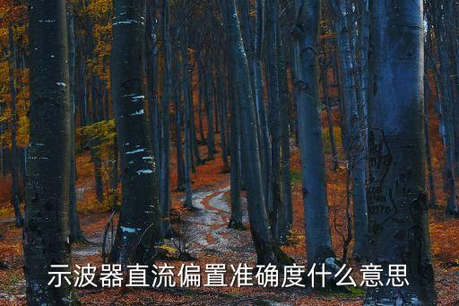 示波器直流偏置準(zhǔn)確度什么意思