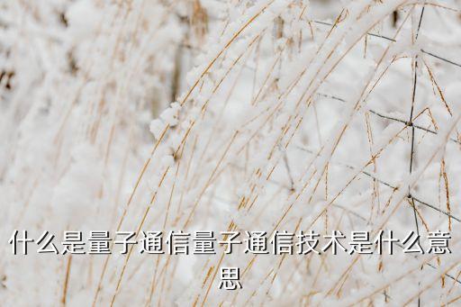 什么是量子通信量子通信技術(shù)是什么意思