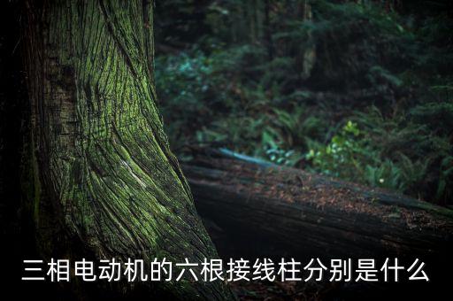 電機接線柱，接線柱的好壞對電機的質(zhì)量有什么影響