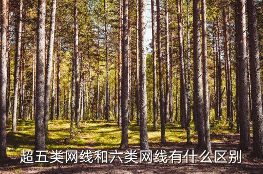 超五類網(wǎng)線和六類網(wǎng)線有什么區(qū)別