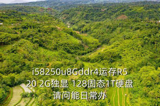 i58250u8Gddr4運存R520 2G獨顯 128固態(tài)1T硬盤請問能日常辦