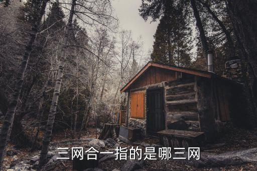 三網(wǎng)合一指的是哪三網(wǎng)