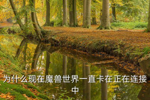 ewis，為什么現(xiàn)在魔獸世界一直卡在正在連接中