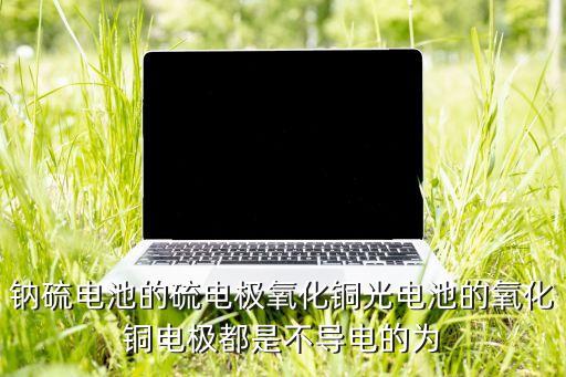 鈉硫電池，鈉硫電池的前景如何