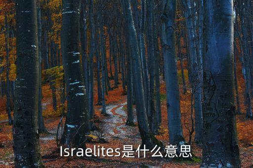 israeli，israel和isreal哪個(gè)才對(duì)