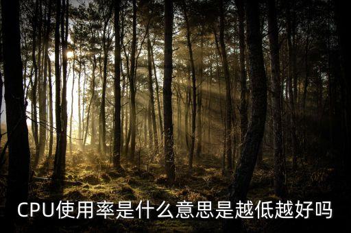 CPU使用率是什么意思是越低越好嗎