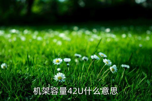 42U機(jī)柜，42u的機(jī)柜最多能裝多少1u的服務(wù)器