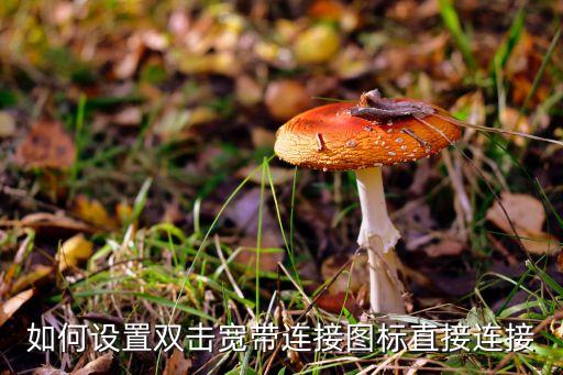 直接連接，如何能開(kāi)機(jī)后就直接連接寬帶