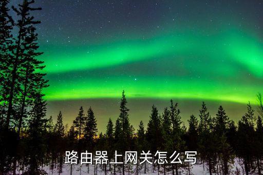 路由器上網(wǎng)關(guān)怎么寫