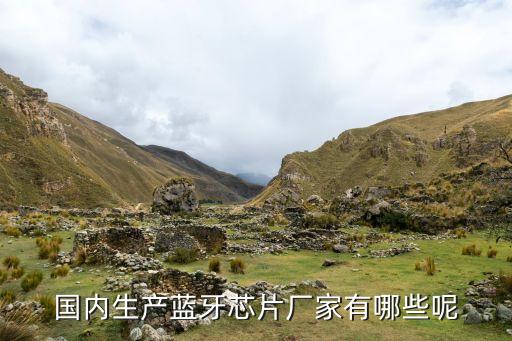 國內(nèi)生產(chǎn)藍(lán)牙芯片廠家有哪些呢