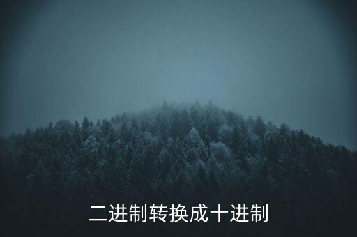 二進制轉(zhuǎn)換成十進制