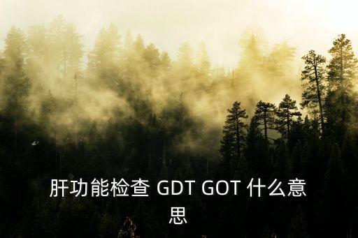 肝功能檢查 GDT GOT 什么意思