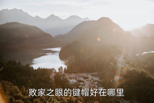 敗家之眼的鍵帽好在哪里