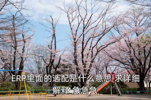 選配，汽車(chē)選配是什么意思