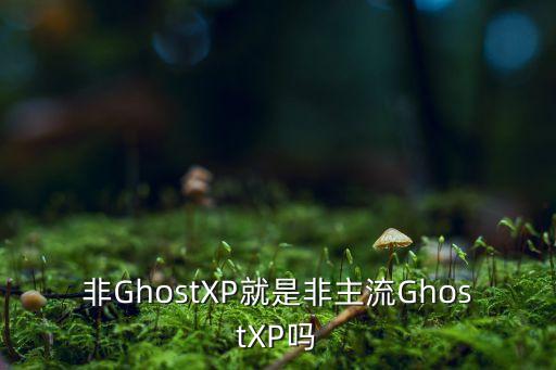 非主流系統(tǒng)，非主流操作系統(tǒng)有哪些