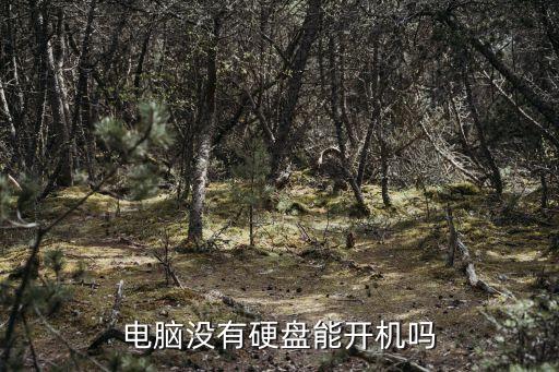 沒有硬盤能開機嗎，電腦不要硬盤能啟動嗎