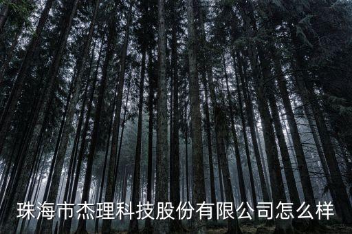 珠海市杰理科技股份有限公司怎么樣