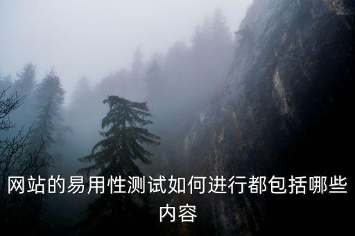 易用性測試，網(wǎng)站的易用性測試如何進行都包括哪些內容