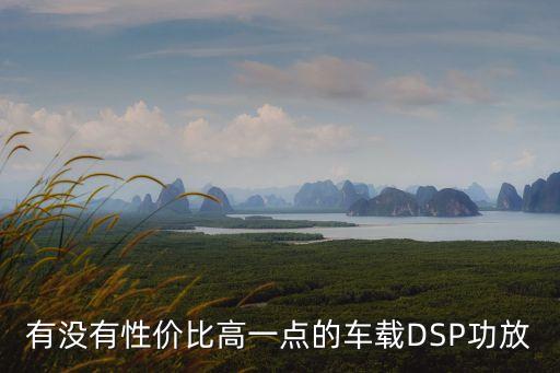 有沒(méi)有性?xún)r(jià)比高一點(diǎn)的車(chē)載DSP功放