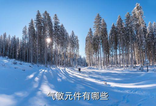 氣敏元件有哪些
