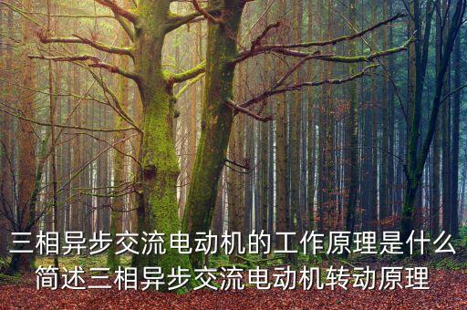 三相交流異步電動機，什么叫三相異步電動機