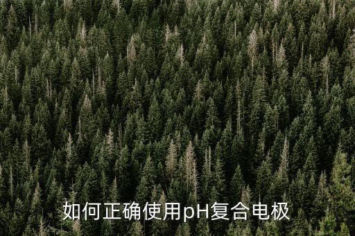 如何正確使用pH復(fù)合電極