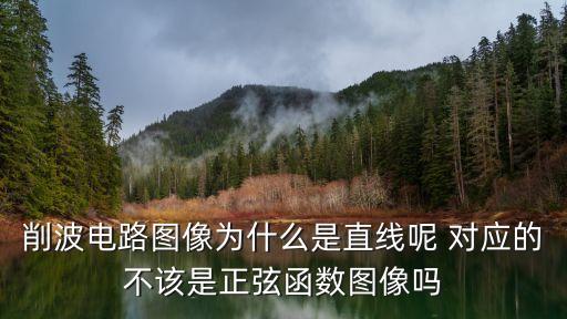 削波電路圖像為什么是直線呢 對(duì)應(yīng)的不該是正弦函數(shù)圖像嗎