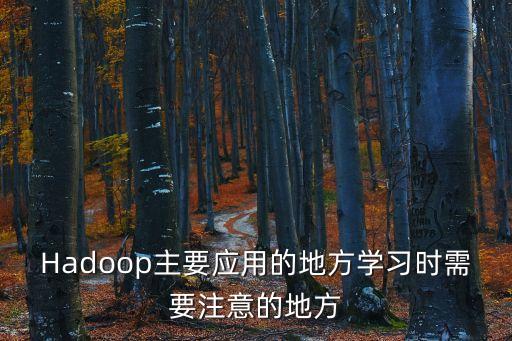 hadoop是做什么的，hadoop是數(shù)據(jù)庫技術嗎