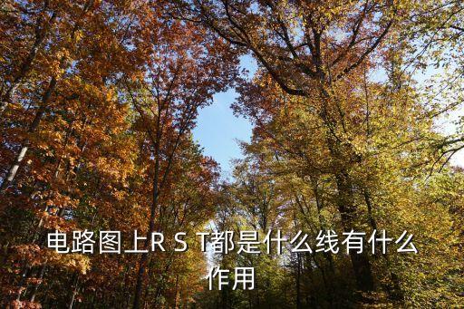 rys是什么線，RYS是電纜還是電線