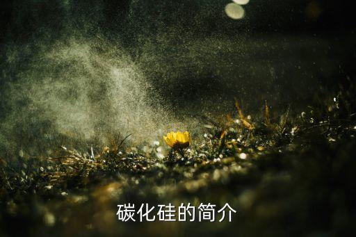 碳化硅的簡介