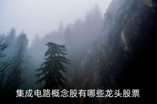 集成電路概念股有哪些龍頭股票
