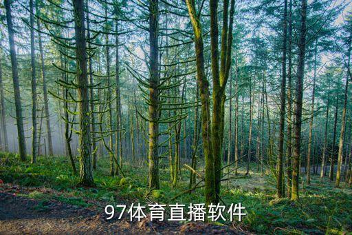 裸身軟件，97體育直播軟件