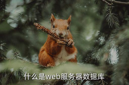 什么是web服務(wù)器數(shù)據(jù)庫(kù)