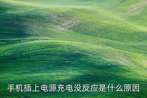 手機(jī)插上電源充電沒(méi)反應(yīng)是什么原因