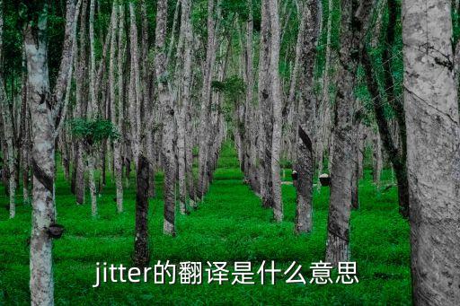 jitter的翻譯是什么意思