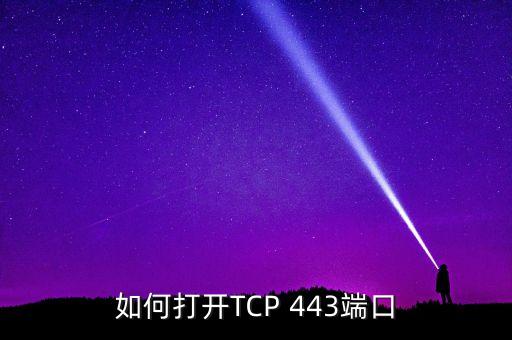 如何打開(kāi)TCP 443端口