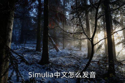 Simulia中文怎么發(fā)音