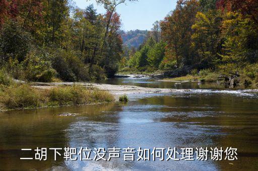 二胡下靶位沒聲音如何處理謝謝您
